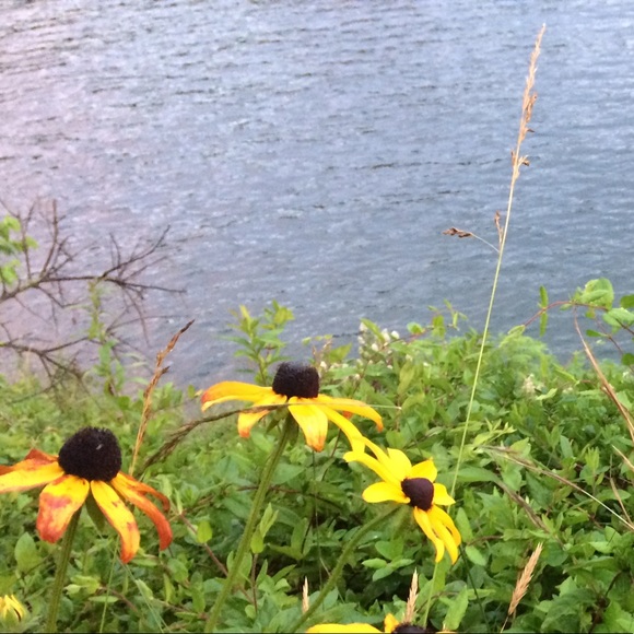 Meet your Posher, Isis - Picture 2 of 2